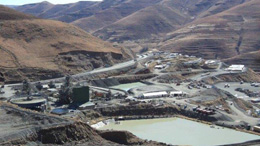 production scale plants consulmet production scale plants consulmet